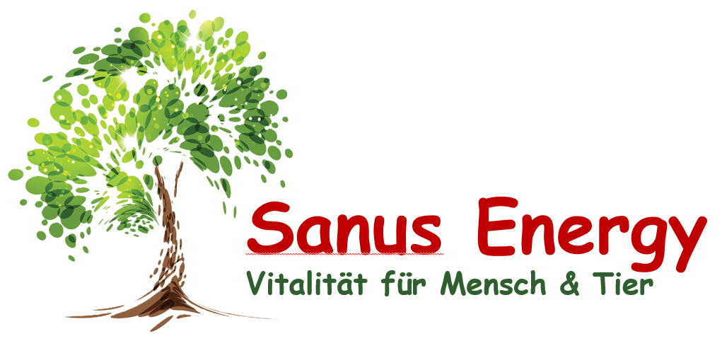 SanusEnergy